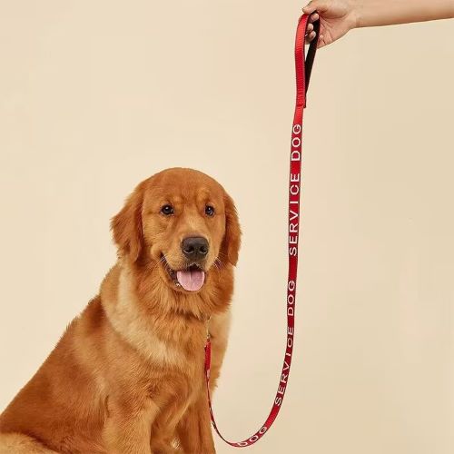 Pets